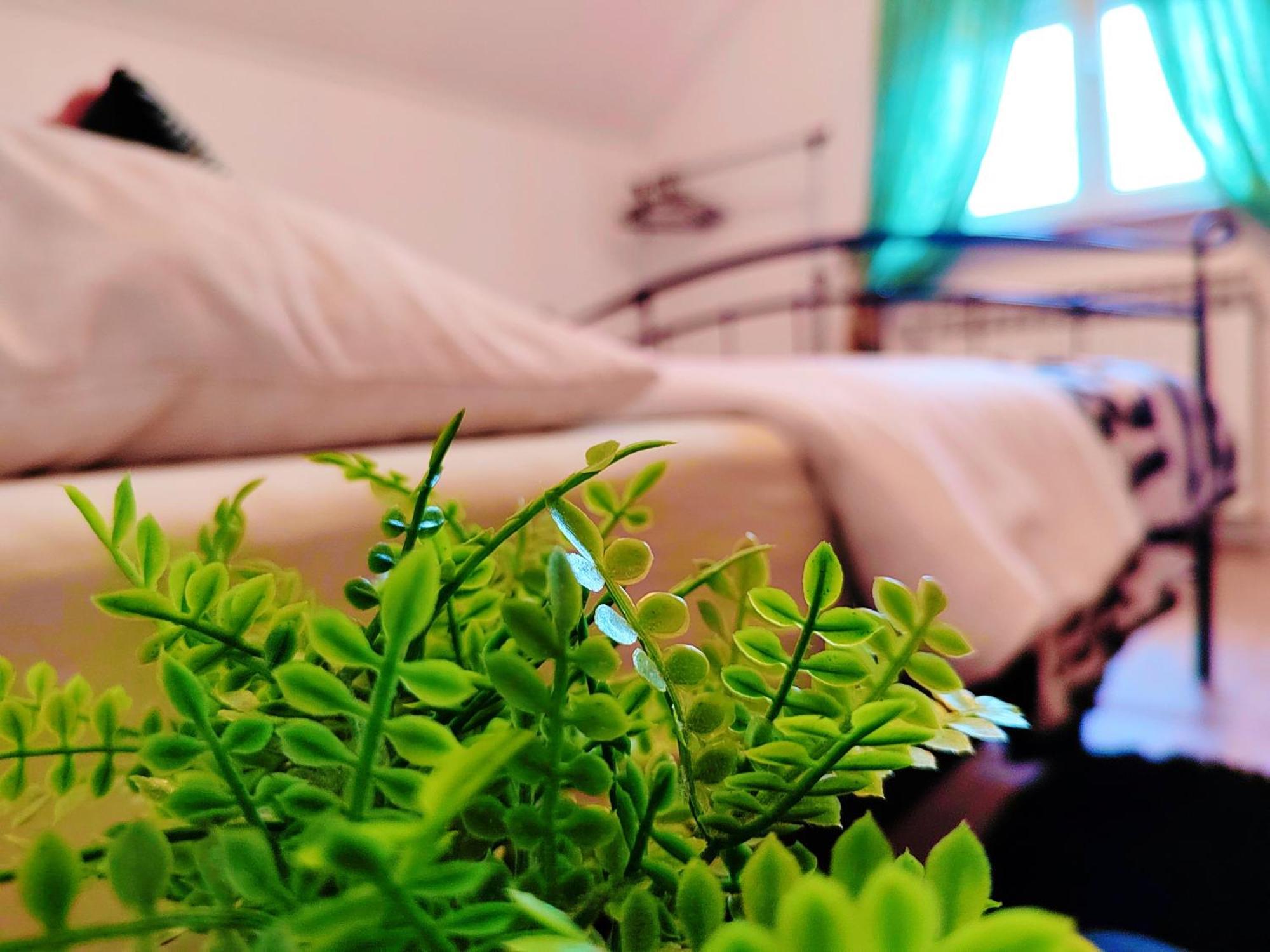 Zagreb, Apartman Jezz Exteriör bild